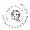 CAMERE PENALI ITALIANE - ASTENSIONE DALL'ESERCIZIO DELL'ATTIVITA' PROFESSIONALE PER I GIORNI